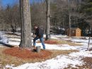 Dustin tapping the maple trees